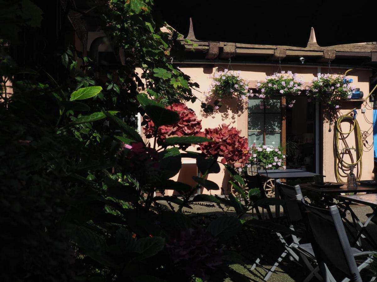 Chambres D'Hotes Chez Caroline Colmar Exterior foto